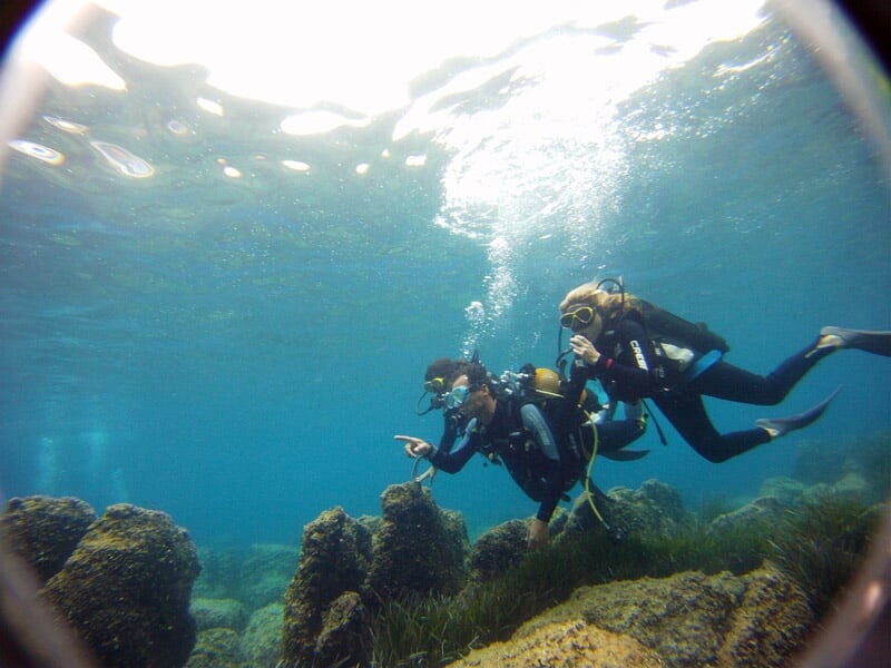Deux plongeurs sous l'eau explorant un paysage marin rocheux avec des herbes aquatiques.