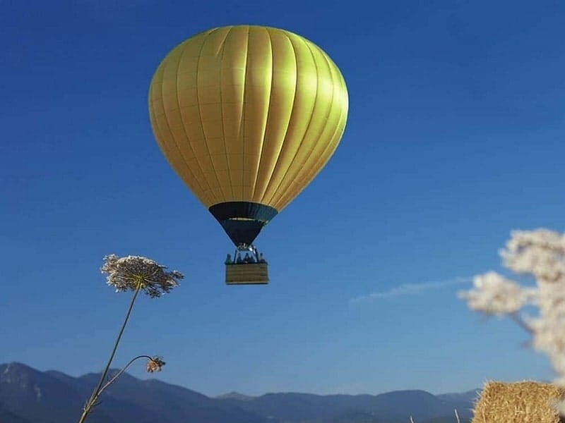 Montgolfière jaune volant dans un ciel bleu clair avec une fleur en premier plan et des montagnes au loin.