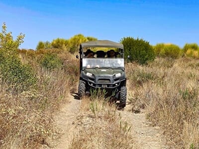 Randonnée en Buggy dans les Vignes près de Béziers