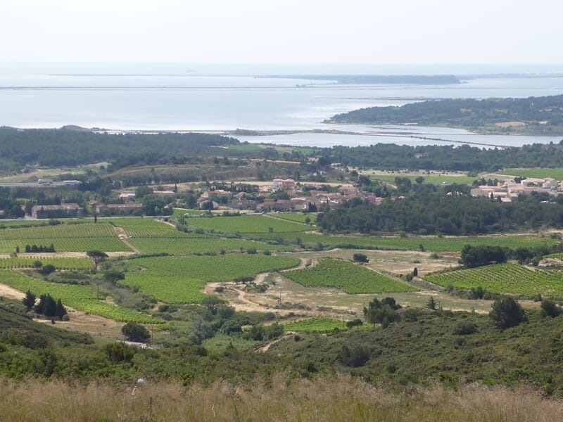 Randonnée en Buggy ou Jeep près de Narbonne - Déjeuner et Visite