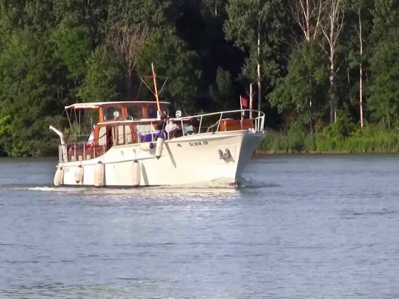 Bateau fluvial blanc avec cabine bois et bouées d’amarrage, avançant paisiblement sur une rivière bordée d’arbres verts.