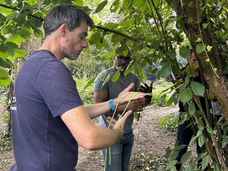 Homme montrant une plante grimpante à un groupe de personnes dans un cadre forestier, activité d'apprentissage nature.
