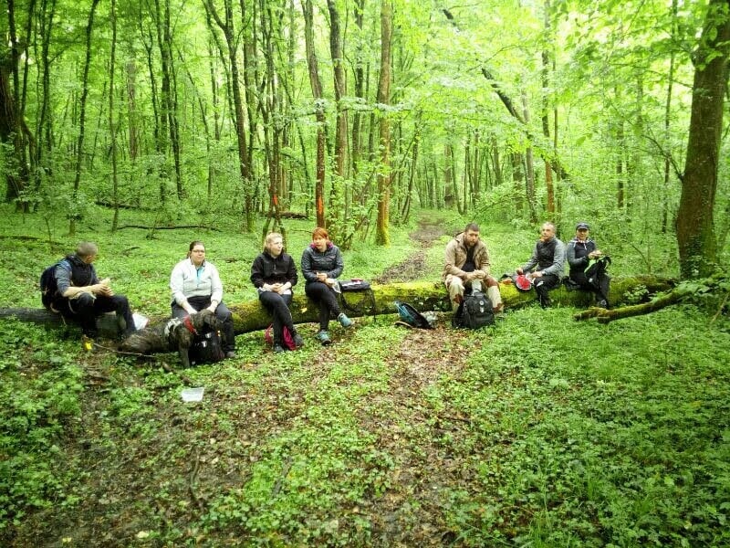 Groupe de personnes assises sur une souche d'arbre dans une forêt dense, discutant ou se reposant.