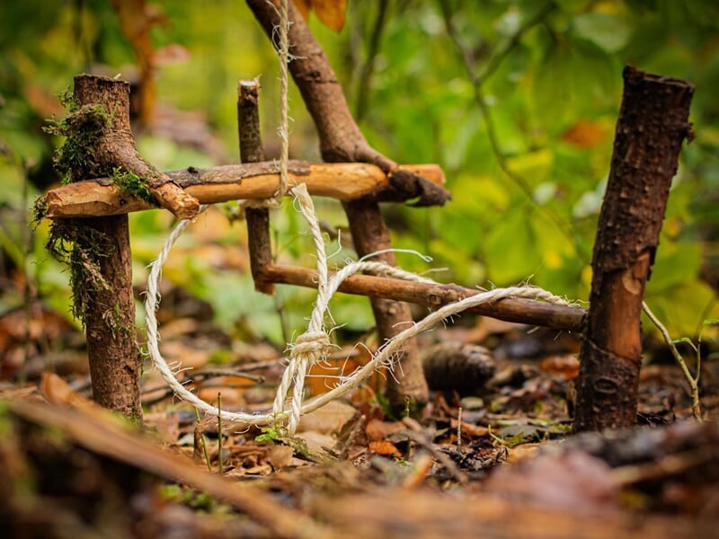 Petit piège artisanal en bois et corde posé au sol dans une forêt, destiné à capturer des animaux.