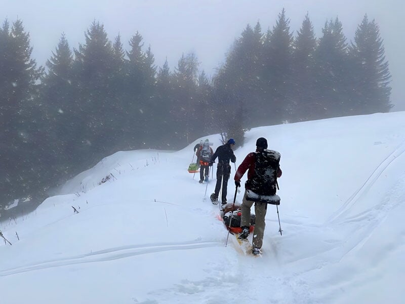 un groupe de randonneurs en raquettes progressent dans la neige