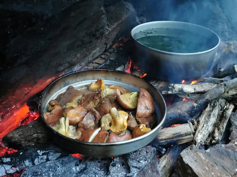 Plat de champignons et de viande cuisant sur un feu de camp, avec une casserole d'eau bouillante à côté