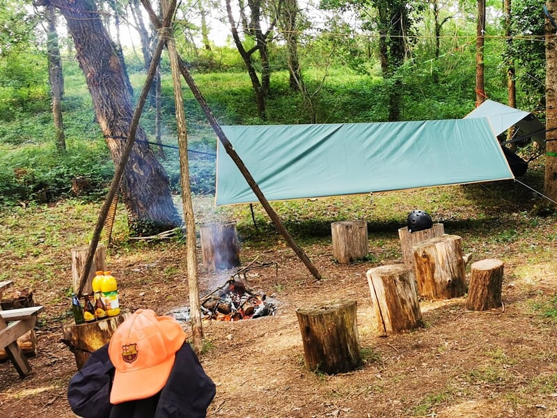 Camp de survie en forêt avec une bâche installée au-dessus d'un feu de camp, entouré de souches d'arbres comme sièges