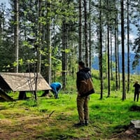 avis Stage de Survie près de Strasbourg - Gérardmer