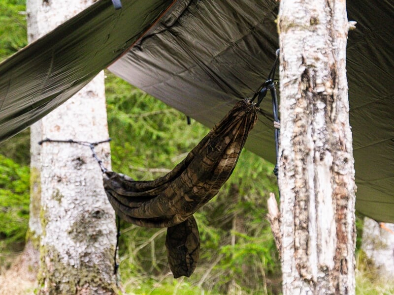 Vue sur un hamac suspendu entre deux arbres sous un abri de bâche dans un environnement boisé