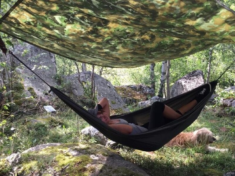 Personne allongée dans un hamac sous une bâche de camouflage, avec un chien couché à côté dans la forêt.
