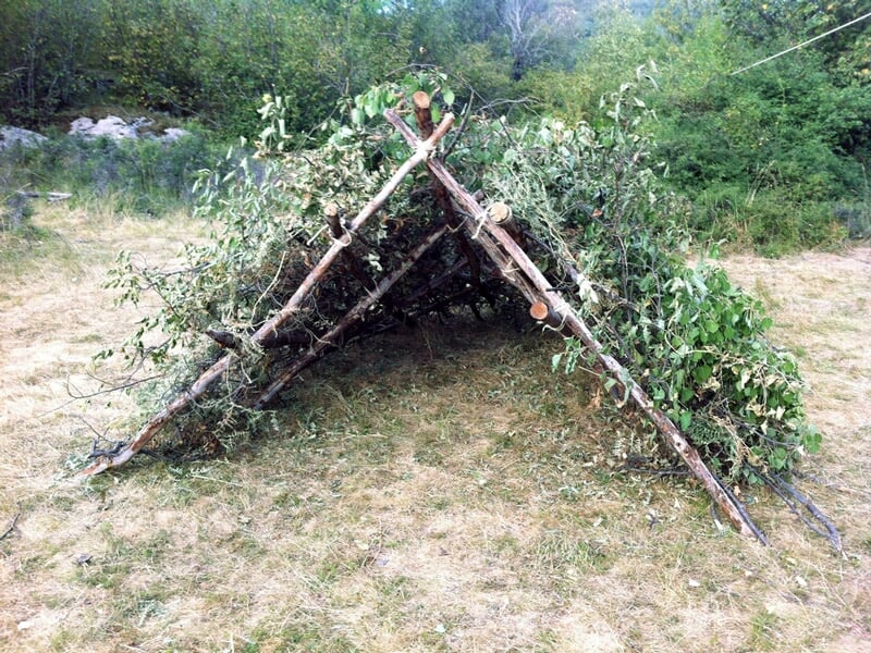 Abri de fortune en bois et feuillage construit dans un champ, avec une personne visible derrière la structure.