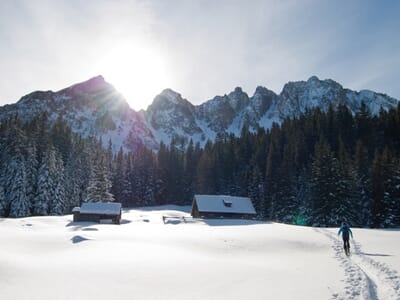 Randonnée en Raquettes dans le Massif de l'Authion - Turini Camp d'Argent
