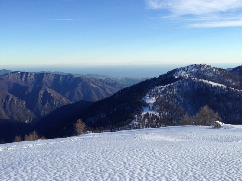 Paysage de montagne enneigée sous un ciel bleu avec des sommets et des arbres en arrière-plan