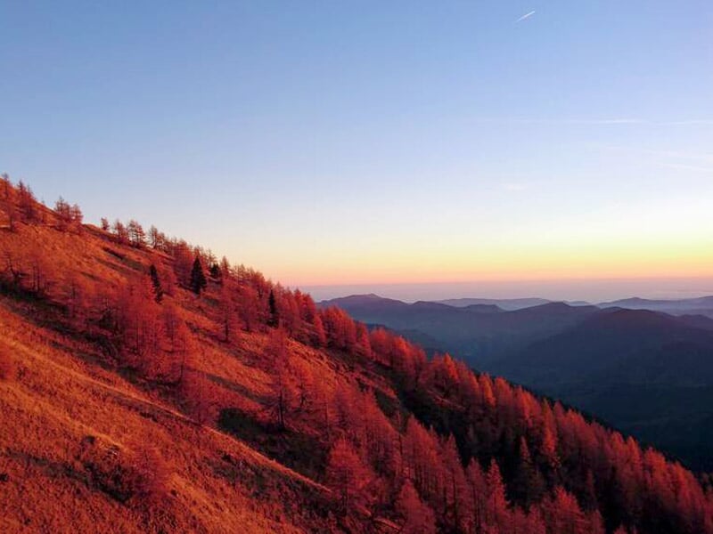 Montagne aux couleurs automnales avec des arbres rouges et un ciel clair au coucher du soleil