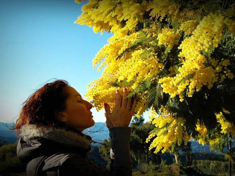 Femme sentant des fleurs jaunes d'un arbre en pleine nature sous un ciel bleu clair