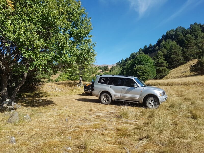 Véhicule tout-terrain garé dans un champ herbeux avec des arbres et un ciel bleu clair