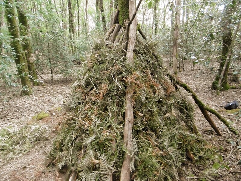 Stage de Survie près de Nantes