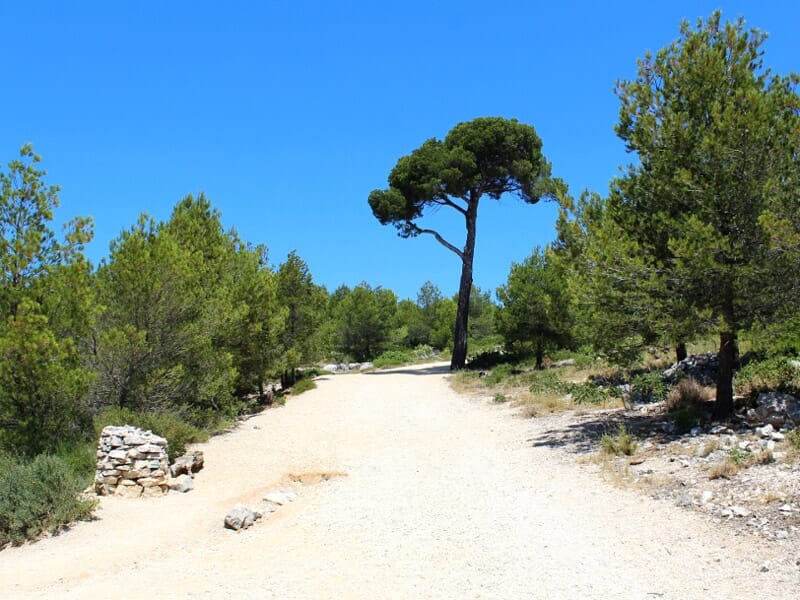 Séjour de Trail à Marseille - Découverte des Calanques entre Marseille et Cassis