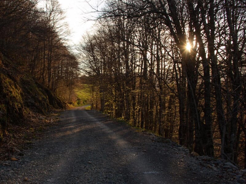 Stage Trail - Traversée du Jura sur 3 jours