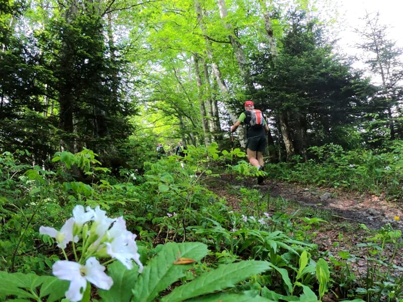 Stage Trail - Traversée de La Chartreuse avec Nuits en Bivouac