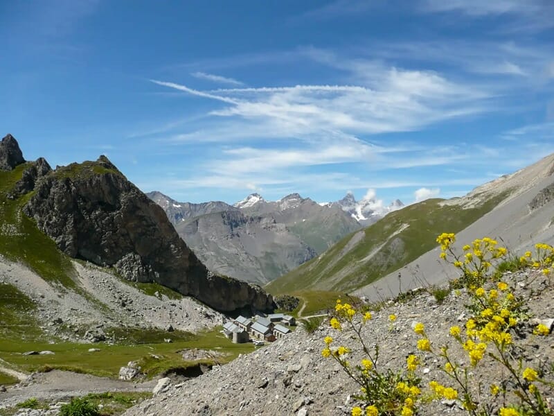 Village de montagne avec maisons en pierre, fleurs jaunes au premier plan et sommets enneigés au loin.