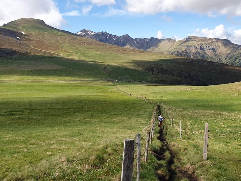 Un sentier étroit traverse un champ vert en montagne avec des sommets en arrière-plan sous un ciel bleu.