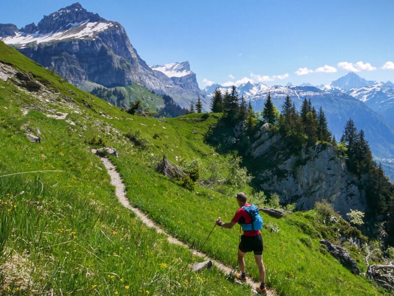 Un randonneur équipé de bâtons de marche avance sur un sentier en montagne avec des sapins et des sommets enneigés.