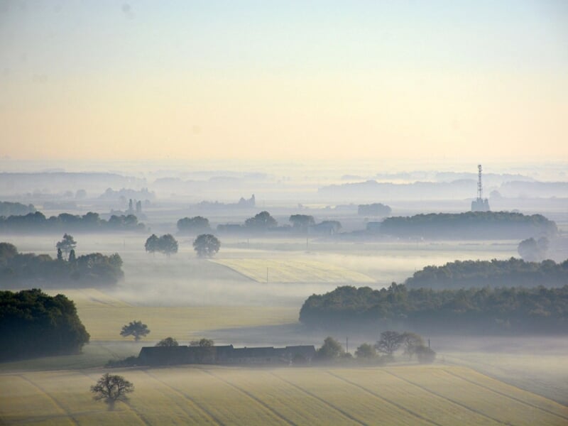 Paysage rural au lever du jour avec une fine brume recouvrant les champs et les arbres dispersés, créant une atmosphère paisible et mystique