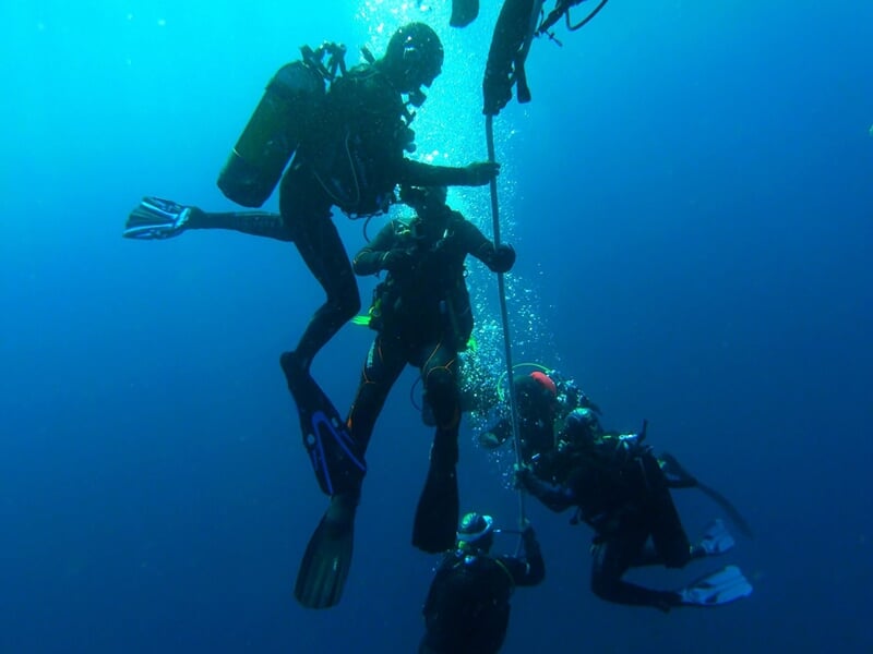 Plusieurs plongeurs sous l'eau, tenant une corde, en train de descendre ou remonter ensemble.
