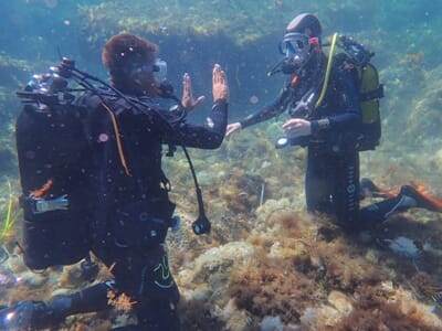 Stage de Plongée près de Toulon - Formation à la Plongée Sous-Marine dans les Îles d'Hyères