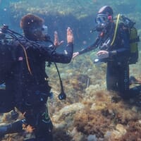 avis Stage de Plongée près de Toulon - Formation à la Plongée Sous-Marine dans les Îles d'Hyères
