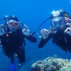 avis client Baptême de Plongée près de Toulon - Découverte de la plongée sous-marine dans les Îles d'Hyères