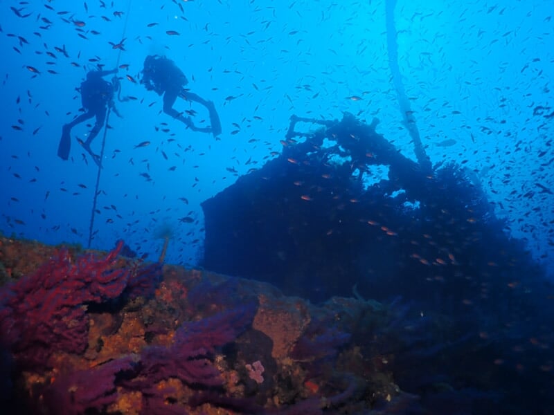 Trois plongeurs explorent un épave sous-marine entourée de nombreux petits poissons colorés.