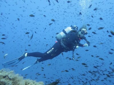 Baptême de Plongée à Porto-Vecchio en Corse - Découverte des Îles Cerbicale