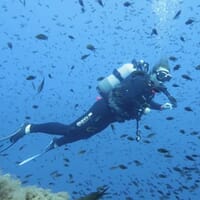 avis Baptême de Plongée à Porto-Vecchio en Corse - Découverte des Îles Cerbicale