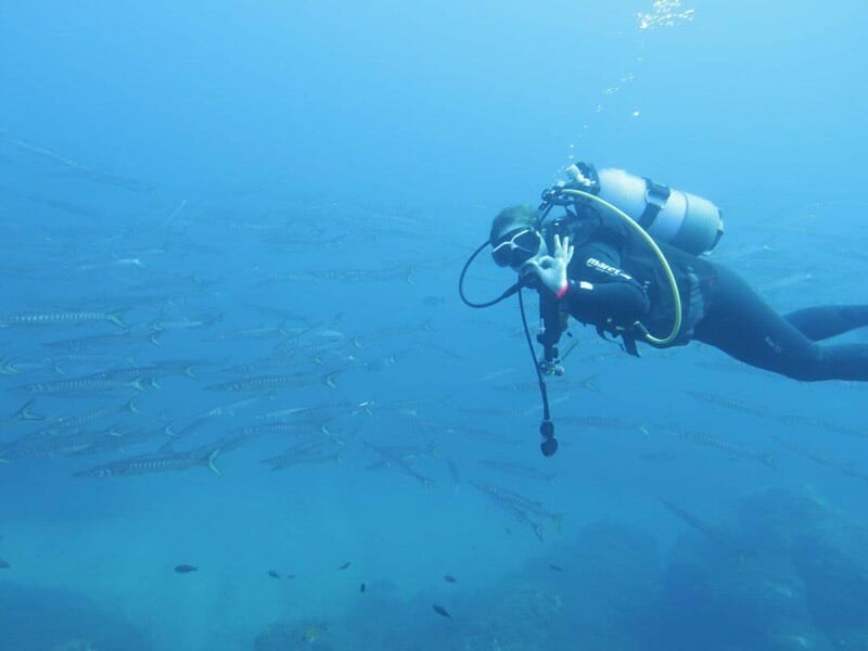 Plongeur équipé d'un scaphandre explore un banc de poissons dans une eau claire et bleue en mer.