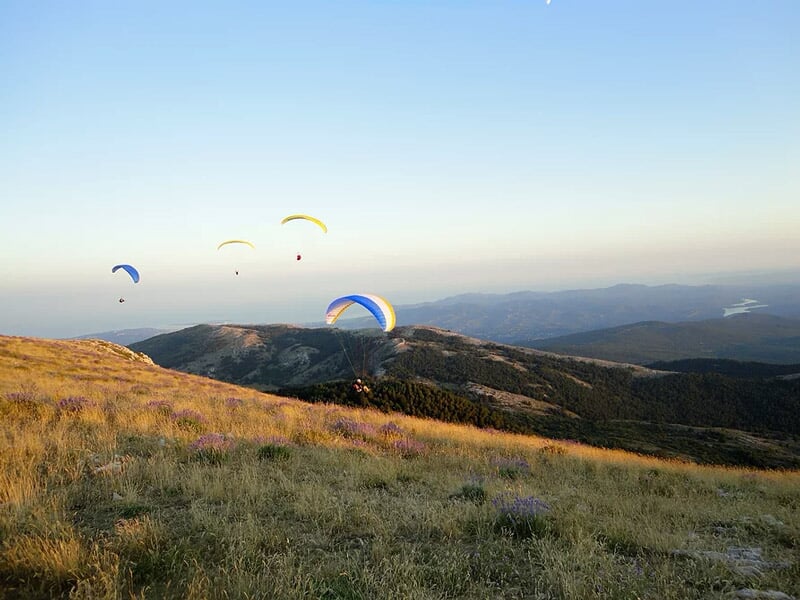 Plusieurs parapentes colorés volant au-dessus d'une colline herbeuse au coucher du soleil avec un ciel clair.