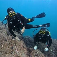 avis Baptême de Plongée près de Propriano en Corse