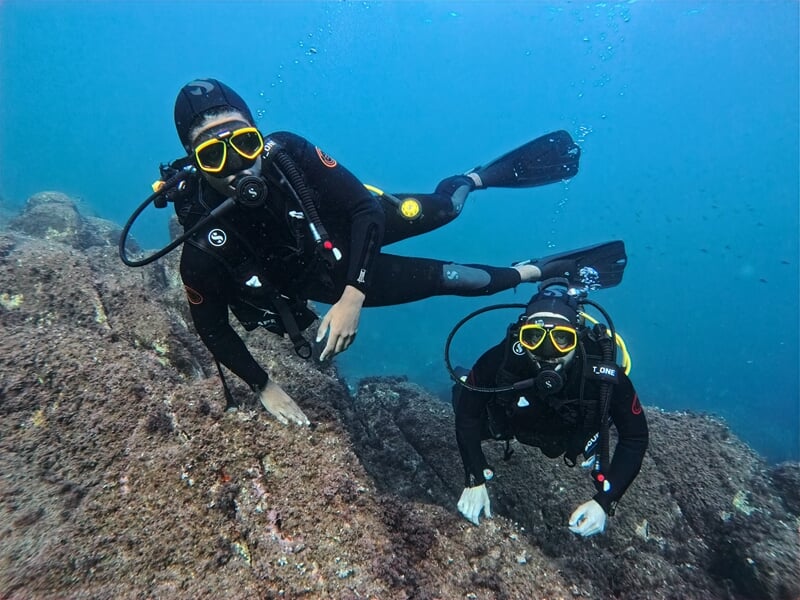 Deux personnes sous l'eau pratiquant la plongée sous marine