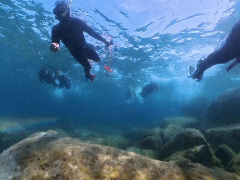 Groupe de personne pratiquand le snorkeling