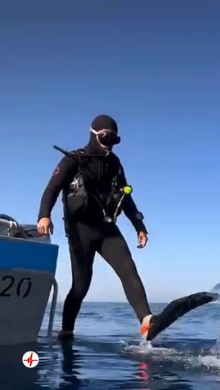 Baptême de Plongée près de Propriano en Corse