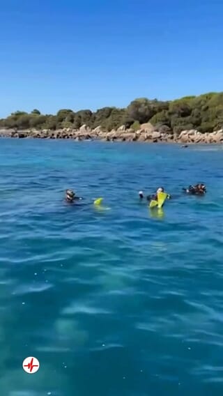 Randonnée Palmée près de Propriano en Corse