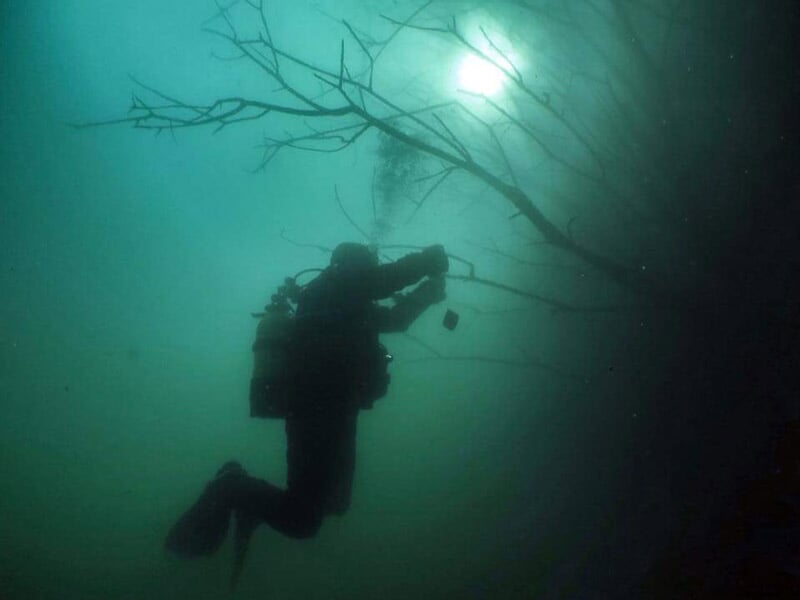 Plongeur sous l'eau tenant une branche, silhouette sombre dans une eau verte avec lumière diffuse.