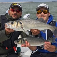 avis Pêche au Gros dans le Bassin d'Arcachon 
