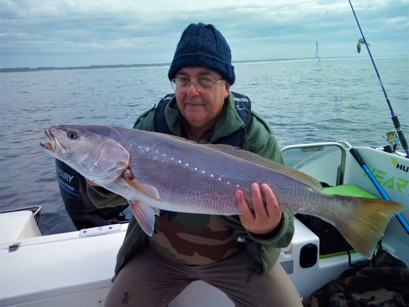 Pêcheur tenant un maigre imposant aux écailles argentées et points lumineux, assis sur un bateau avec une mer calme et ciel nuageux. Mots-clés : pêche au maigre, pêche en bateau, pêche sportive