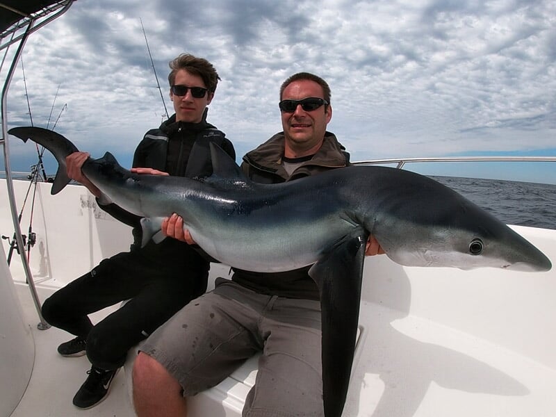 Deux hommes sur un bateau montrant un grand requin bleu, ciel couvert et mer légèrement agitée. Mots-clés : pêche en mer, requin bleu, pêche sportive, océan Atlantique.