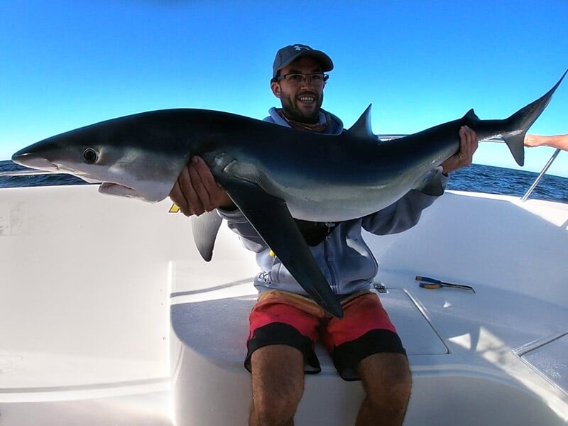 Un homme sur un bateau montre fièrement un grand requin pêché lors d'une sortie de pêche en mer par une journée ensoleillée.