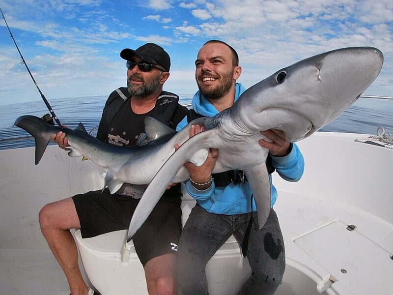 Deux pêcheurs souriants posant avec un requin bleu allongé, mer calme et ciel bleu parsemé de nuages en arrière-plan. Mots-clés : pêche au requin, requin bleu, pêche sportive, océan.