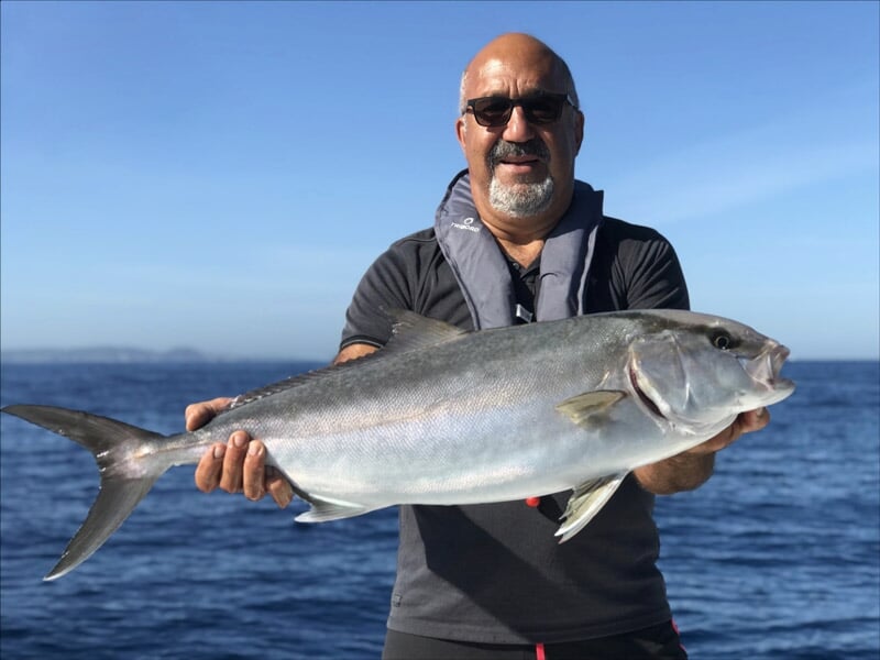 Homme portant des lunettes de soleil tenant un gros poisson argenté, mer bleue et ciel dégagé en arrière-plan, gilet de sauvetage gonflable gris.