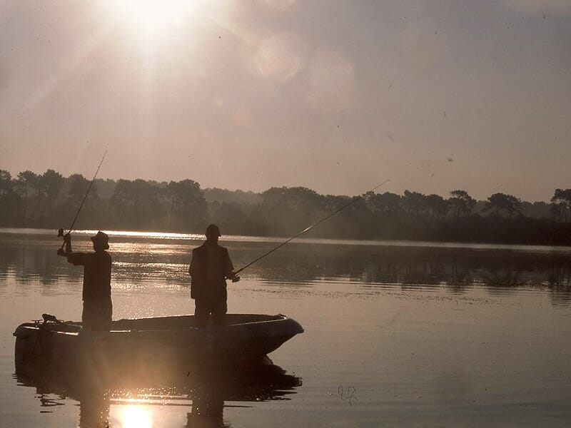 Stage de Pêche à la Mouche près de Dax - Grands Lacs des Landes